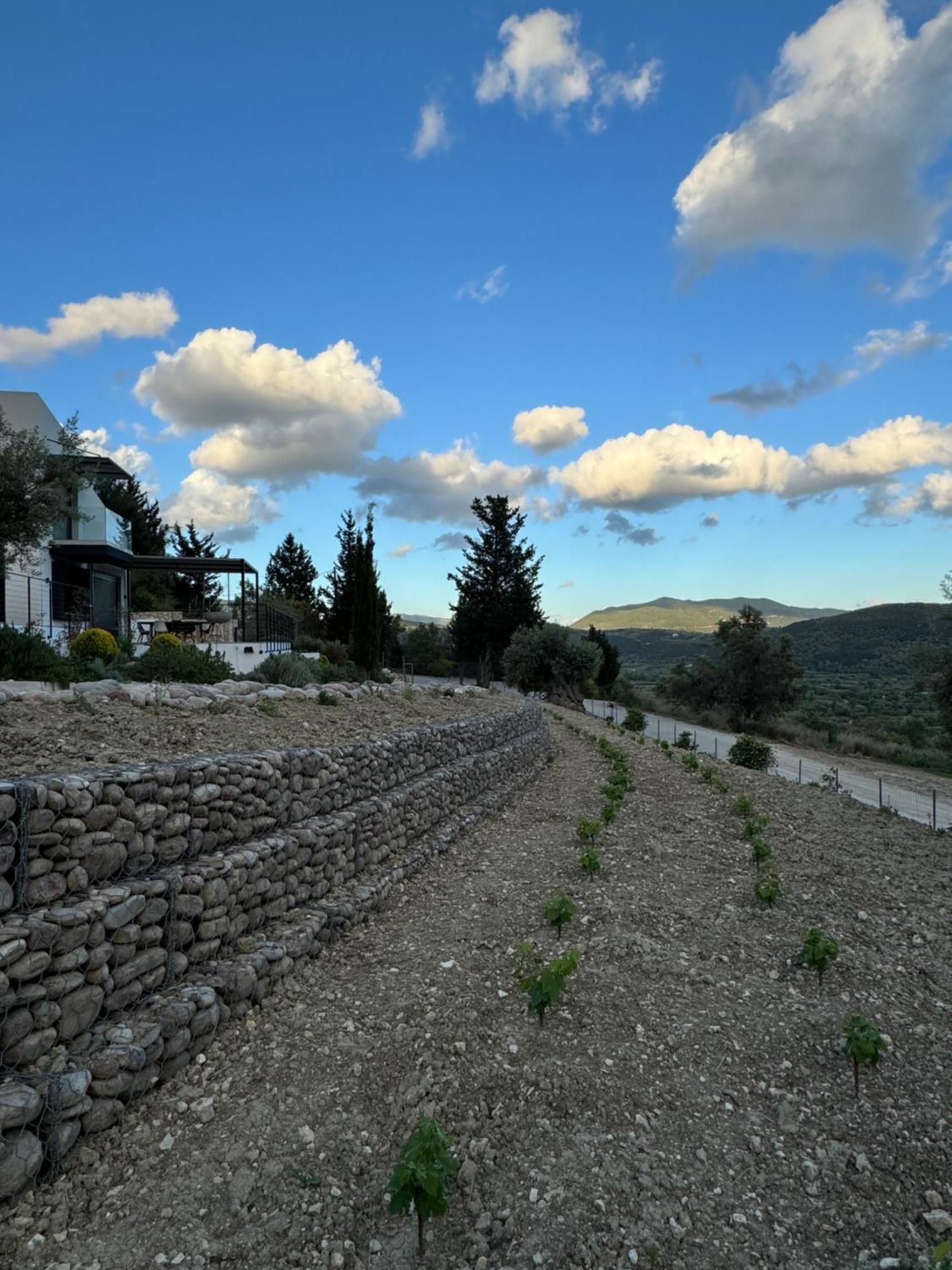 Vasiliki Houses Luaran gambar