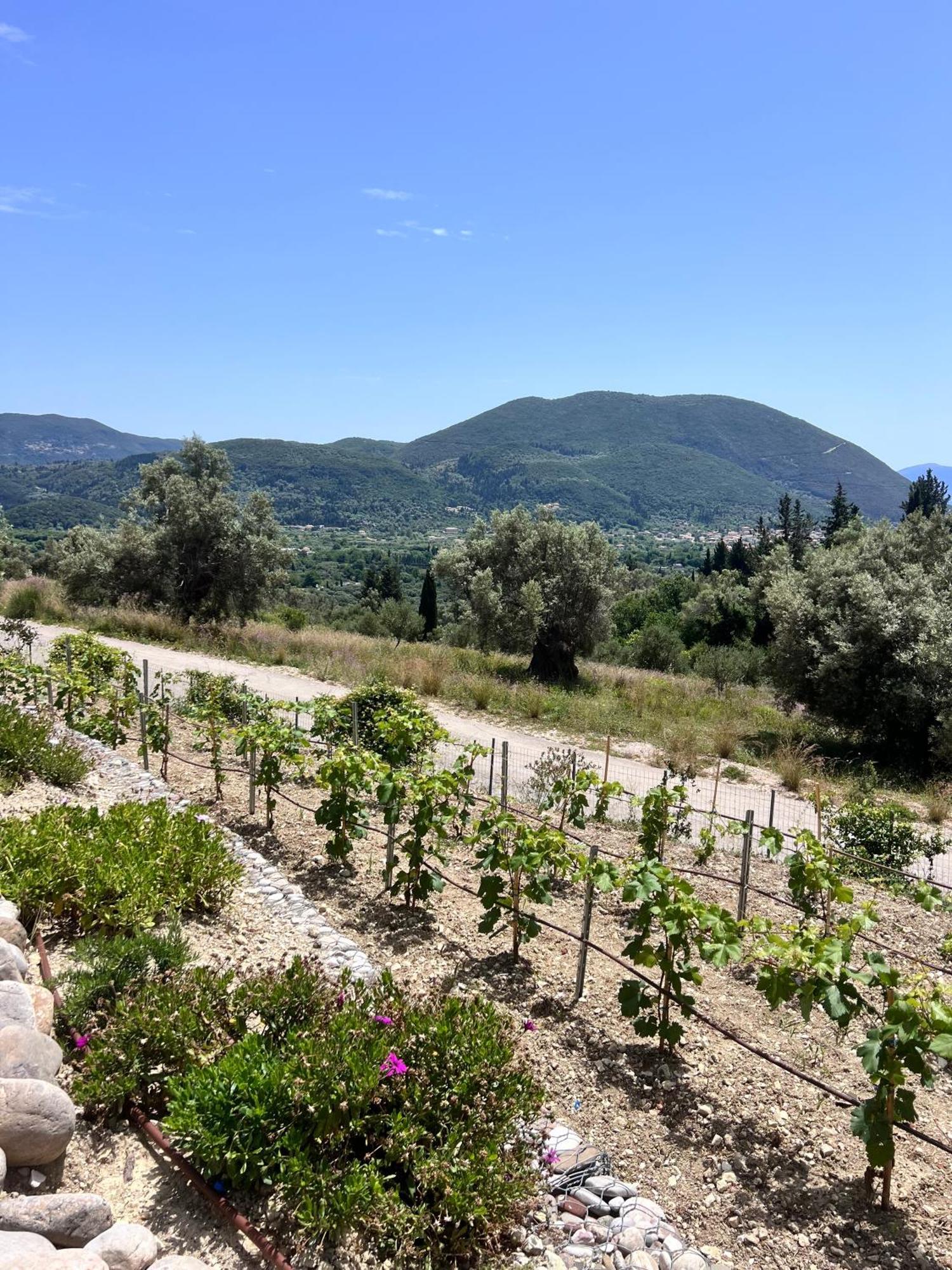 Vasiliki Houses Luaran gambar